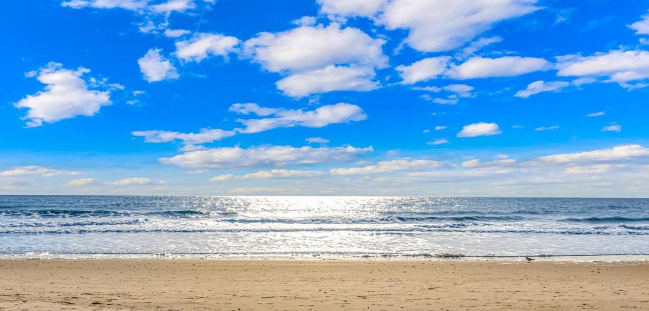 4Th Floor Oceanfront 1 Bedroom Suite! Beach Cove Resort 411 Myrtle Beach Eksteriør bilde